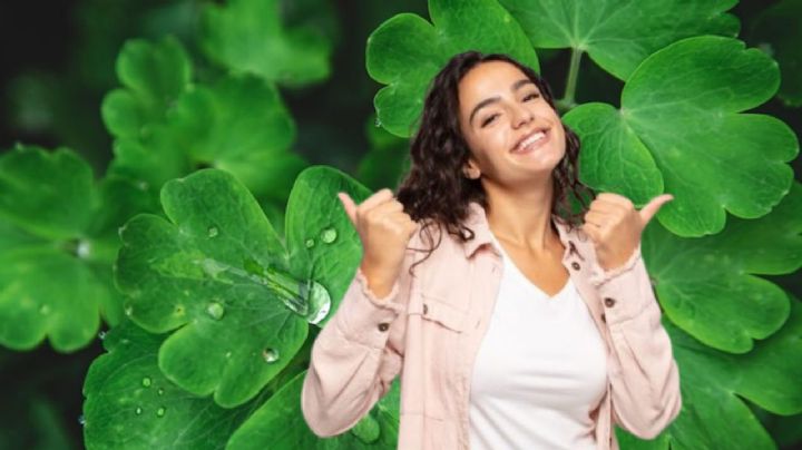 Estas son las propiedades curativas del trébol que no conocías, pero son increíbles