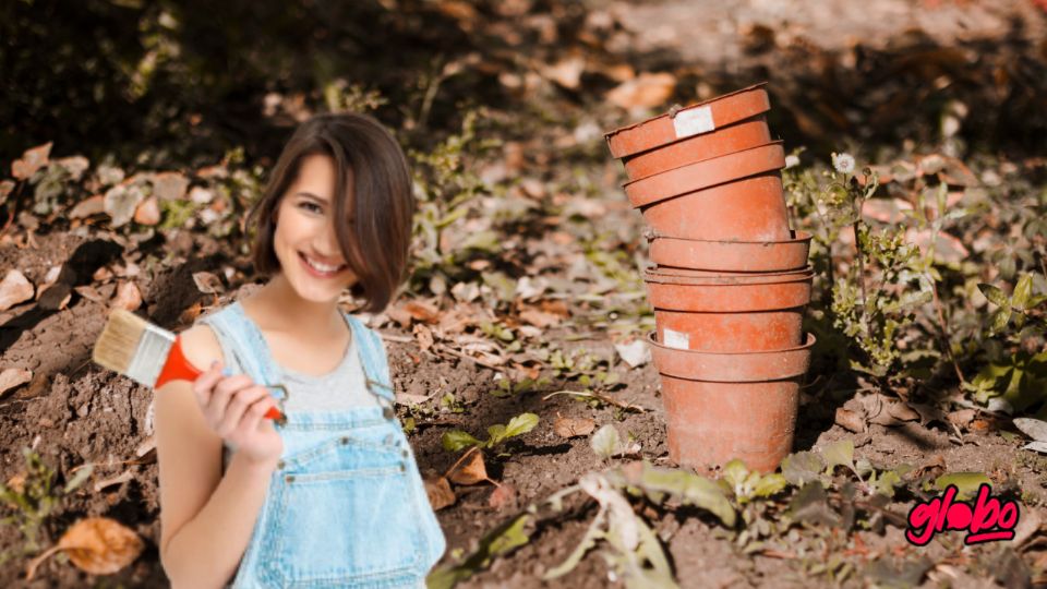 Descubre dos formas económicas y creativas de reparar macetas de cemento rotas sin gastar mucho dinero.
