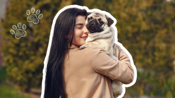 Día del Pug 2025: Fecha, actividades y costo de la entrada