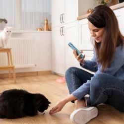 ¿Dónde es el mejor lugar para poner el arenero de tu gato? Considera estas recomendaciones