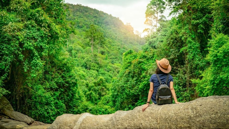 5 bosques cerca de la CDMX para empezar el 2026 rodeados por la naturaleza