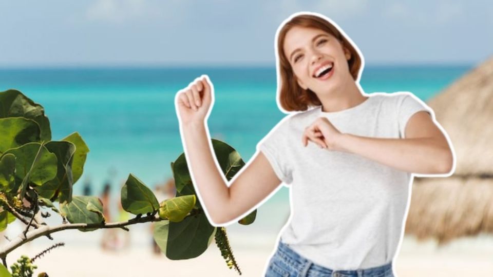 Veracruz se posiciona en 2026 como uno de los destinos de playa más elegidos de México. Fuente: Freepik.